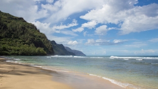 Visit to Kauai Preview